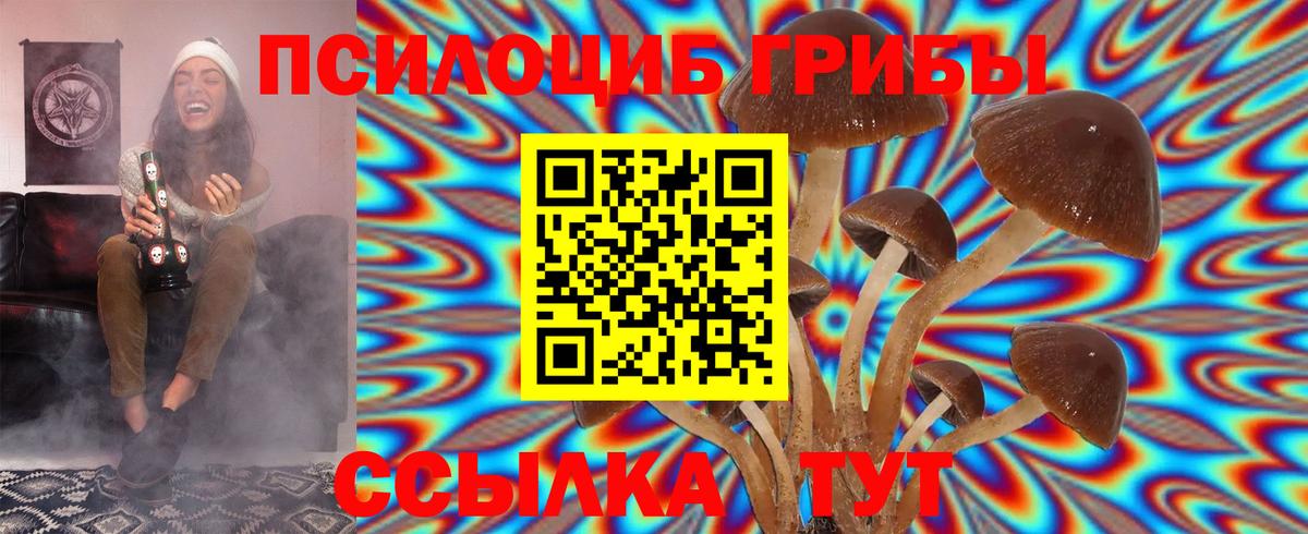 Псилоцибиновые грибы MAGIC MUSHROOMS  Вход с VPN  Псилоцибиновые грибы GOLDEN TEACHER  Заречный 